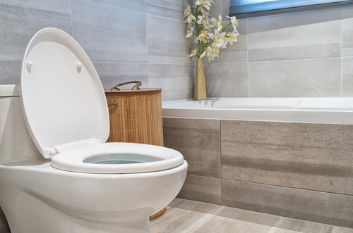 /bathroom-plumbing-repair-Chula Vista-CA